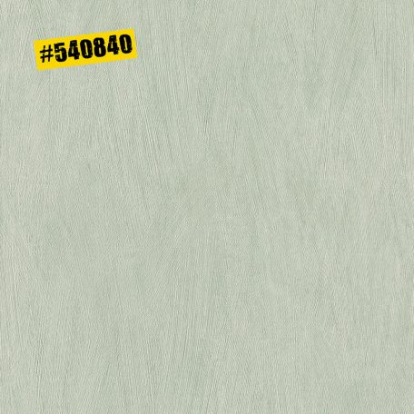 Rasch #ROCKENROLLE 540840  Egyszínű strukturált zöld árnyalatok fémes hatás tapéta
