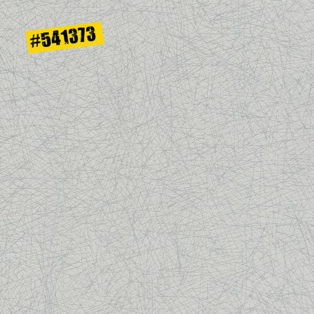 Rasch #ROCKENROLLE 541373  Natur sűrű hálózat/kötés minta világos szürke ezüst fémes hatás tapéta