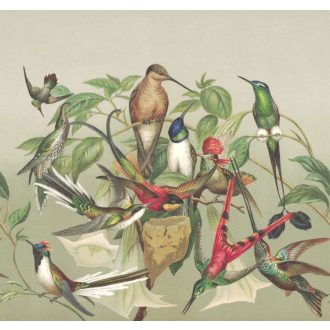   Madárfészek - egzotikus trópusi madarak szürke zöld szines falpanel