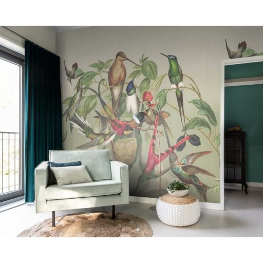 Madárfészek - egzotikus trópusi madarak szürke zöld szines falpanel