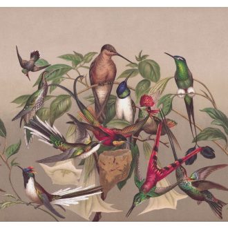   Madárfészek - egzotikus trópusi madarak szürkésbarna zöld szines falpanel