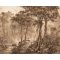 Idilli erdőrészlet - metszet krém barna (szépia) falpanel