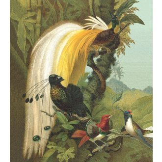   Bravúros természeti kép - díszes tollazatú páva a fa ágán zöld fehér szines falpanel