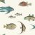 Rasch Studio Onszelf Stories 553529 Gyerekszobai Víz alatti világ! különféle tengeri halak valósághű ábrázolása krémfehér szines tapéta