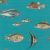 Rasch Studio Onszelf Stories 553536 Gyerekszobai Víz alatti világ! különféle tengeri halak valósághű ábrázolása türkizkék szines tapéta