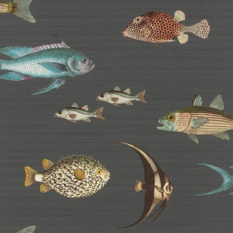 Rasch Studio Onszelf Stories 553543 Gyerekszobai Víz alatti világ! különféle tengeri halak valósághű ábrázolása sötétszürke szines tapéta