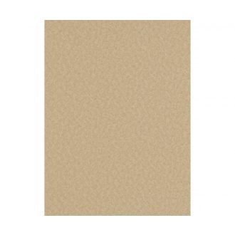   Erismann Eterna 5797-32 Egyszínű strukturált barna tapéta