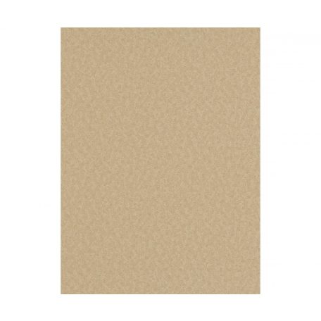 Erismann Eterna 5797-32 Egyszínű strukturált barna tapéta