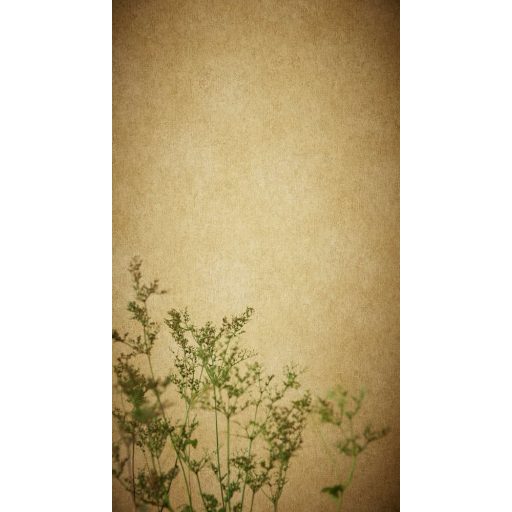 Rasch Linares 617177 Natur Durva vakolatminta egyszínű meleg currysárga tapéta