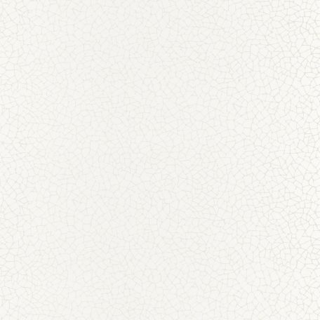 Caselio Shine 68590008 CRAQUELÉ grafikus sűrű repedés mintázat krémfehár ezüstszürke  tapéta