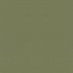   Rasch Tropical House/Maya/Rhapsody/Selection 687538 Natur Egyszínű finom textil struktúra meleg trópusi zöld tapéta