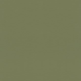   Rasch Country Charme/Tropical House/Maya/Rhapsody/Selection 687538 Natur Egyszínű finom textil struktúra meleg trópusi zöld tapéta