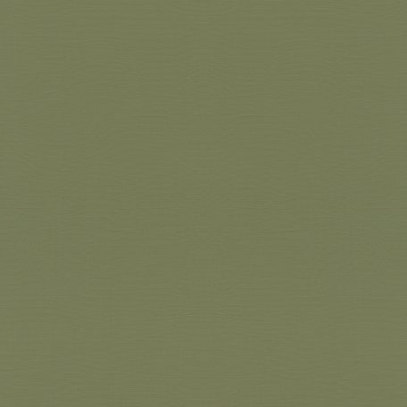 Rasch Tropical House/Maya/Rhapsody/Selection 687538 Natur Egyszínű finom textil struktúra meleg trópusi zöld tapéta