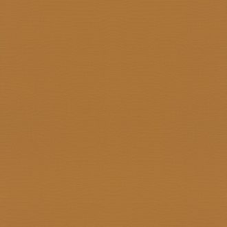   Rasch Tropical House/Maya/Rhapsody/Selection 688054 Natur Egyszínű finom struktúra karamellbarna tapéta