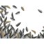 Rasch Tropical House 688122 Botanikus Trópusi légies szines egzotikus banánlevelek fehér szürke sárga ezüst falpanel