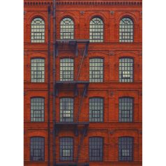   Caselio Tonic 69528112 ház homlokzata tűzlétrával New York téglavörös barna falpanel