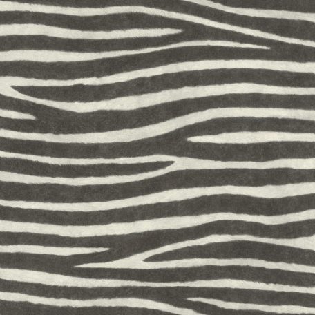 Egzotikus és otthonos zebra szőrzet minta fekete és fehér tónus tapéta
