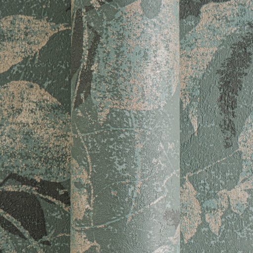 Elbűvölő és romantikus botanikus kert lenyomata türkiz kékeszöld homokszín és arany tónus fémes hatás tapéta