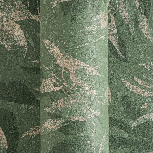 Elbűvölő és romantikus botanikus kert lenyomata mohazöld rózsaszínes-ezüst és roségold tónus fémes hatás tapéta