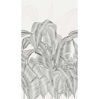   Extrém dimenziók és méretek! Óriásira nőtt pálmalevelek rézkarca monokróm - fehér és fekete tónus falpanel