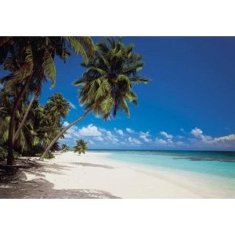 Komar Maldives 8-240 poszter