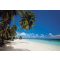 Komar Maldives 8-240 poszter