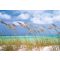 Komar Ocean Breeze 8-515 poszter