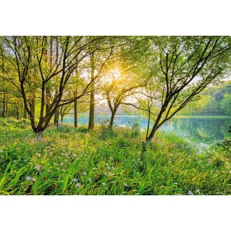 Komar Spring Lake 8-524 poszter