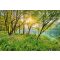 Komar Spring Lake 8-524 poszter