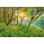 Komar Spring Lake 8-524 poszter