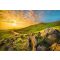 Komar Mountain Morning 8-525 poszter