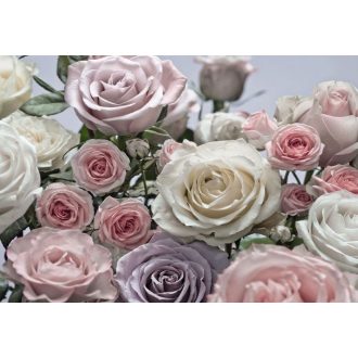 Komar Floraison 8-736 poszter
