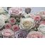 Komar Floraison 8-736 poszter