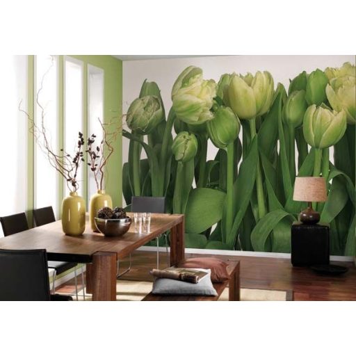 Tulips 8-900 poszter