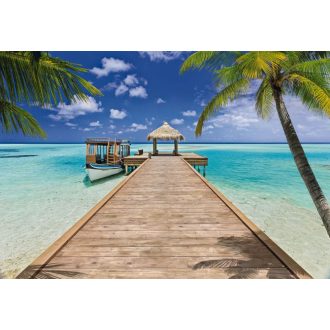 Komar Beach Resort 8-921 poszter