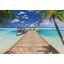 Komar Beach Resort 8-921 poszter