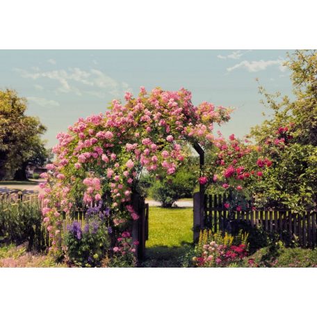 Komar 8-936 Rose Garden poszter
