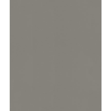 Rasch Denzo/Sansa 806816 Natur vakolat struktúra egyszínú szürke szürkésbarna tapéta