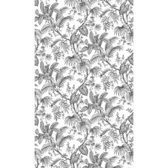   Monokróm ábrázolású trópusi levelek vastag indákon fehér és fekete tónus falpanel