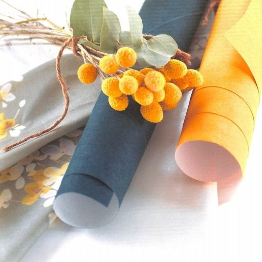 Casadeco Botanica/Jardins Suspendus 82381505 KIOSQUE Natur Egyszínű texturált szürke szürkésbarna tapéta