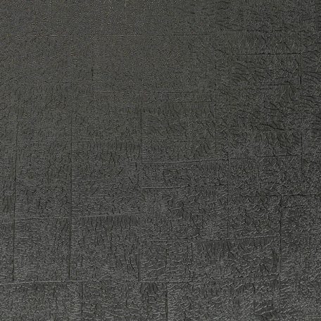 Casadeco Encyclopedia 82539515  CARRE LICHEN NOIR texturált négyzetbe rendezett zuzmó minta fekete tapéta