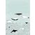 Rasch Bambino XVIII 842500  gyerekminta natur kékbálna kardszárnyú delfin türkiz fehér fekete falpanel