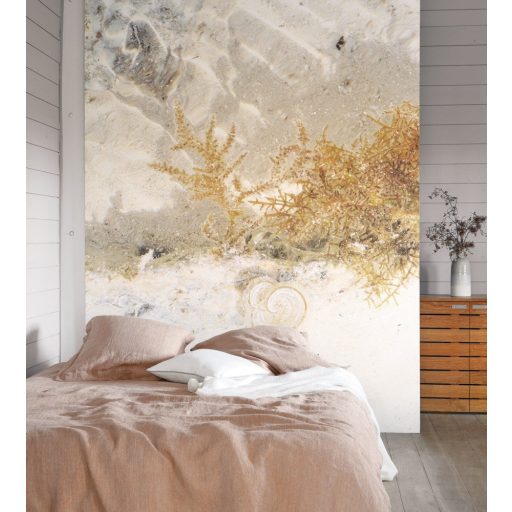 Casadeco Rivage 84251526 PANORAMIQUE ZANZIBAR Natur Mélytengeri élővilág korallok csigák krém bézs barna szürke sárga falpanel