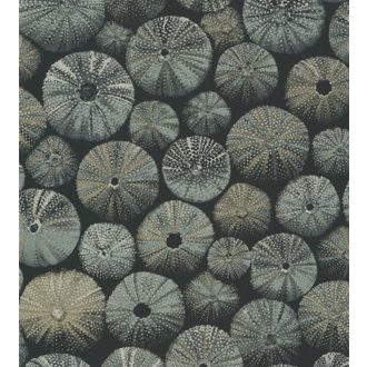 ACHINOS VERT Natur mélytengeri világ tengeri sünök fekete fémes zöld és arany tapéta