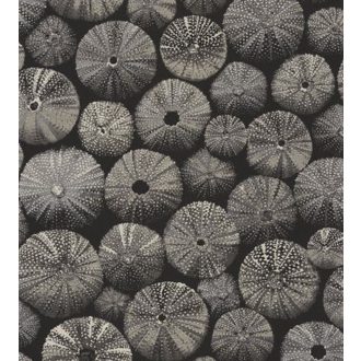 ACHINOS NOIR Natur mélytengeri világ tengeri sünök fekete szürke fémes ezüst  tapéta