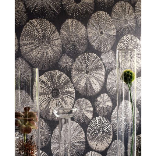 ACHINOS NOIR Natur mélytengeri világ tengeri sünök fekete szürke fémes ezüst  tapéta