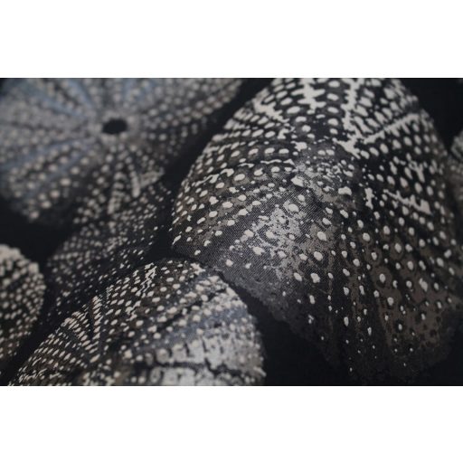 ACHINOS NOIR Natur mélytengeri világ tengeri sünök fekete szürke fémes ezüst  tapéta