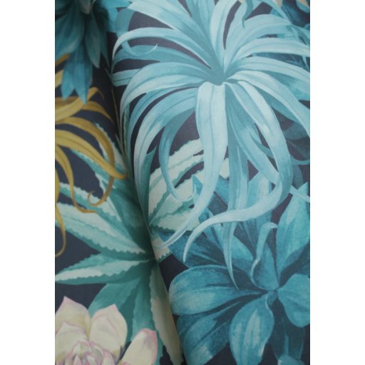 Casadeco Botanica 85916585 ECHEVERIA Botanikus pozsgás növények aloe vera és crassula antracit kék türkiz lila sárga zöld tapéta