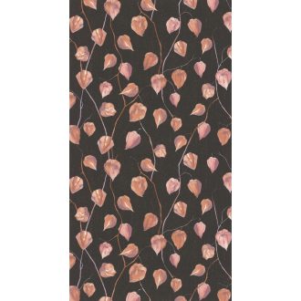   Physalis vagy japán lámpás csodaszép mintája antracit arany alkonyi narancs tapéta