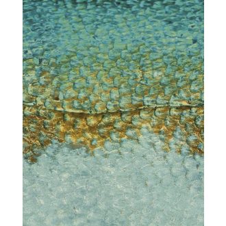   Művészi szépségű makro halpikkely megjelenítés "L" méret hárszöld kék és aranysárga tónus falpanel